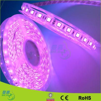 China La prenda impermeable amarilla/del rojo/del verde llevó tiras llevadas el 120leds/M de las luces de la cuerda en venta