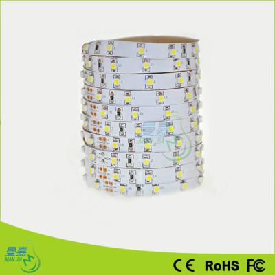 China El Rgb 3528/5050/2835 llevó las luces de la cuerda, 60 Leds/M 30 Leds/M en venta