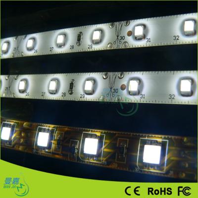 China Luces de tira llevadas flexibles brillantes estupendas del blanco 24V los 5M 12V 60 LEDs/M para los hogares en venta