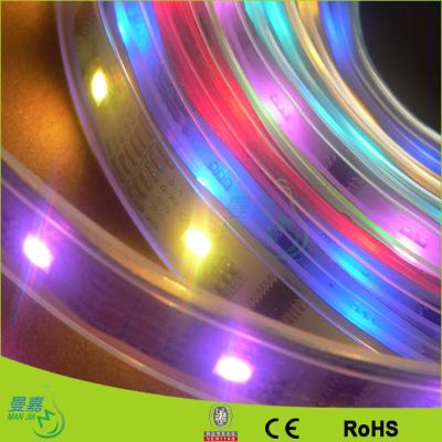 China Luz flexible de la cinta de la cinta de 5050 Rgb LED para el hogar, 12 voltios/tiras llevadas 24V en venta