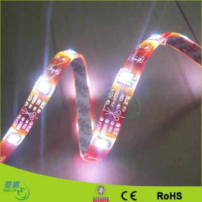 China Waterproof Ip65 LED Ribbon Tape Light , 12v / 24v Outdoor Led Strip Lighting for sale