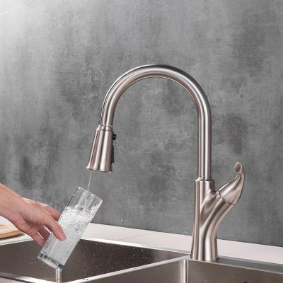 China New Sense OUBAO Faucets Design All IN ONE 3 Way Water Filter Kitchen Faucet With Pull Down Sprayer for sale