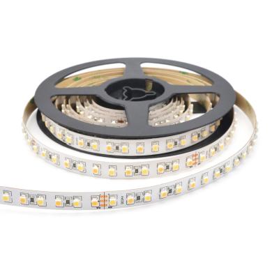 China Landscape 3000K 6000K IP20 24V 10mmPCB TDC LED Variable Double Color Strip 120LED 3528 LED Strip for sale