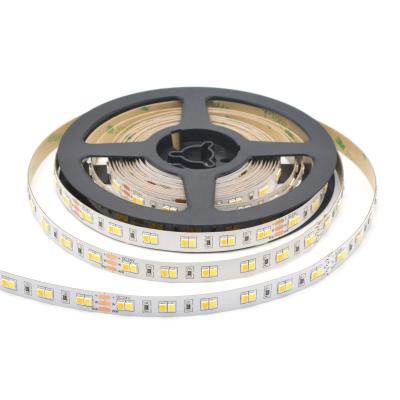 China Landscape 3000K 6000K IP20 12/24V 12/24V 10mmPCB 120LED LE TDC LED Variable Double Color Strip 3528 2IN1 LED Strip for sale