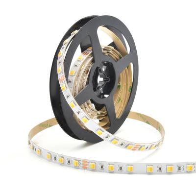 China Variable Color IP20 12/24V 10mmPCB Landscape 3000K 6000K Doulbe TDC LED Strip 60LED 5050 2IN1 LED Strip for sale