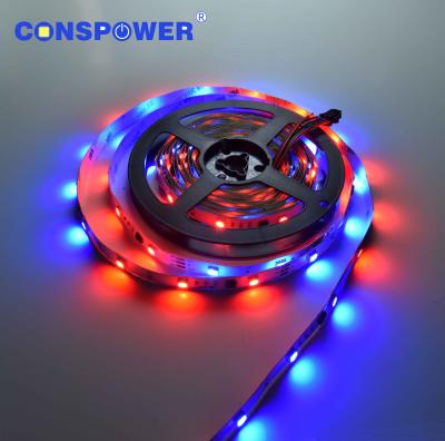 China Landscape RGB5050 Digital 5050RGB 12V RGB Color Strip WS2811 5050 Accessible Led Strip Manufacturer for sale