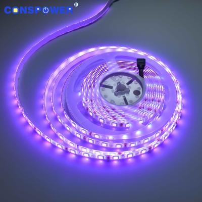 China Landscape Color Strip 60LED/M IP65 12V 5050 RGB LED Strip for sale