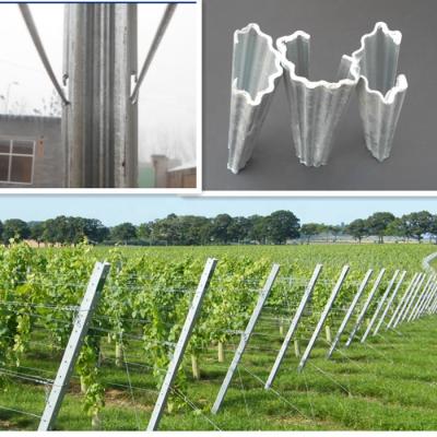 China Easily Assembled Low Price Vineyard Metal Trellis Post /Grape Post Use In Farm for sale