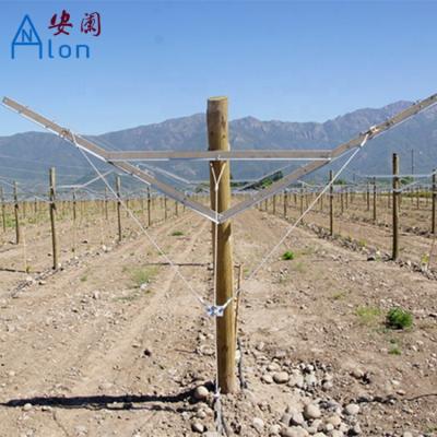 China Gable Trellis System For Vineyard open 