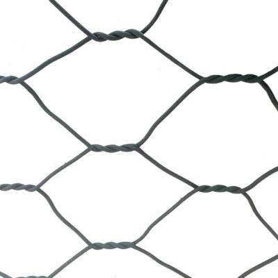 China Gabions Factory High Quality Gabion Box 80*100mm PVC Coated Hexagonal Wire Mesh Fencing for sale