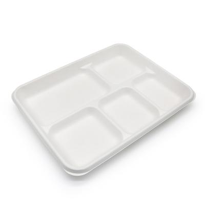 China water repellent & OEM Oil-Repellent 100% Compostable and Biodegradable 5 Compartment School Lunch Bagasse Sugar Cane Disposable Eco-Friendly Tray for sale