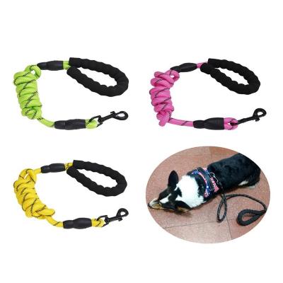 China Durable Nylon Rope Metal Clasp Nylon Thoughtful Walking Chain With Soft And Comfortable Padded Elevating Handle Rope Dog Leash for sale