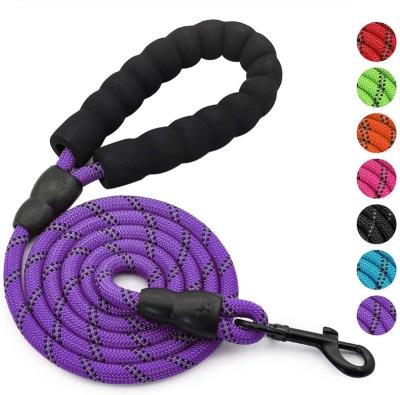 China Customized Economic Custom Design Slip Lead Nylon Dog Traction Rope for sale