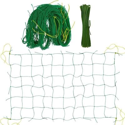 China New Type Bags Insect Garden Trellis Strong Sale Well Netting for sale