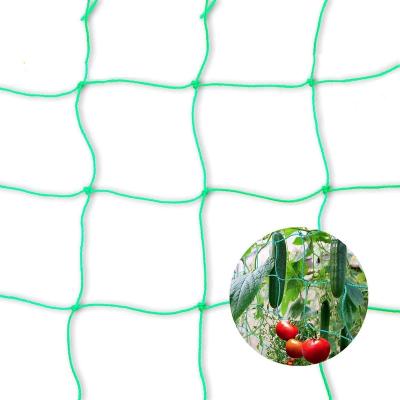 China High Quality Outdoor Garden Fruit Fly Insect Mesh Net Vegetable Garden Easily Assembled Net Plant for sale