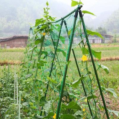 China Plant Garden Nets , Insect And Bird Protective Plant Nets , Insect And Bird Protective Climbing Agricultural Nets for sale