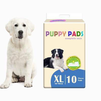 China Stocked Urinal Pad for Puppy Disposable Blue Deodorant Dog Diaper Pad Cleaning Puppy Training WC Pee Pads Small for sale