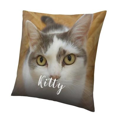 China Anti-Static Pet Photo Custom Image Personalized Pillow Case for sale