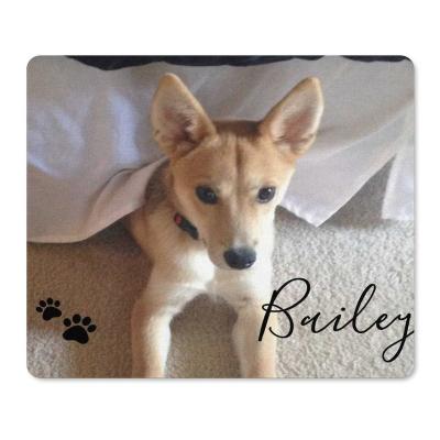 China Custom Water Resistance Dog Pet Photo & Script Name Pawprints Mouse Pad for sale