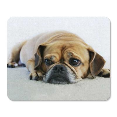 China Water Resistance Cute Puggle Mousepad for sale