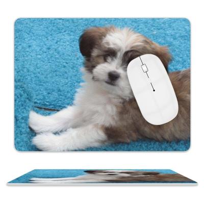 China Water Resistance Havanese Puppy Mouse Pad for sale