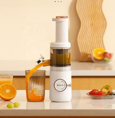 China Car High Market Rate About OEM Competitive Slow Screw Home Fruit Juicer for sale