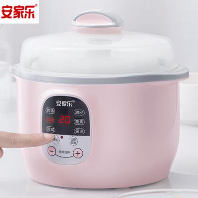 China 2020 Outdoor Hot Popular Multifunctional Electric Stew Pot Home Appliances for sale