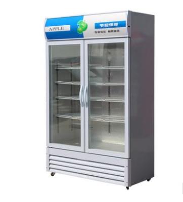 China Double-temperature Upright Glass Door Showcase Display Fridge Refrigerators Price For Flowers Sale for sale