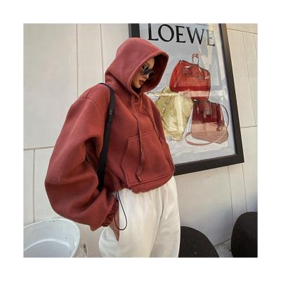 China Autumn Winter Velvet Streetwear Women's Anti-pilling Culture Hoodie Customized Oversized Women's Hoodies for sale