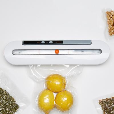 China 110V/220V Commercial Vacuum Sealing Machine 15pc Vacuum Sealer Bag Vacuum Sealer for sale