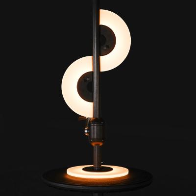 China ABS+PC factory design new 2 pieces magnetic type fitted stepless suction acrylic decorative light for sale