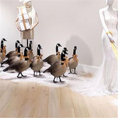 China Europe Window Display Shop Decoration Small Resin Ducks Props for sale