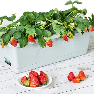 China Best Modern Selling Multi Color Potted Vegetable Rectangle Hole Drainage Design Planting Pots For Vegetables Flowerpot for sale