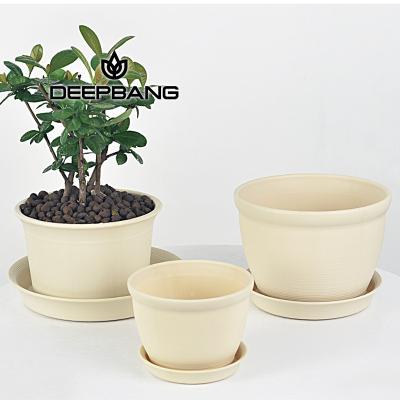 China 2021 Hot Minimalist Plant Wholesale Cheap Garden Round Shape Small White Cactus Plastic Flower Pot for sale