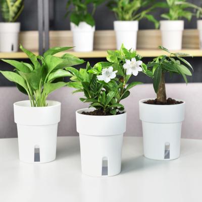 China Wholesale Minimalist DEEPBANG Self Watering Flower Pot and Planter Self Watering Flower Pots for sale