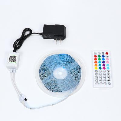 China High performance wholesale professional bluetooth garden 220v LED light strip manufacturers smart light strip for sale