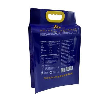 China Food Factory Supply 25kg Printed BOPP Laminated PP Woven Rice Sugar Packing Bag Snacks Bag Cat Dog Pig Pet Food for sale