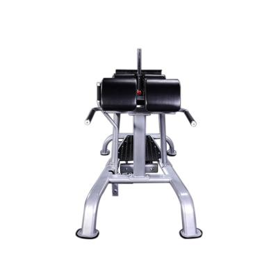 China Good Quality Bodybuilding Hammer Strength Gym Professional Commercial Glute Combo Ham Developer For Sale Equipment for sale