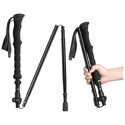 China Durable Factory Customized Travel Folding Trekking Hiking Pole with Carrying Case,collapsible Cane Adjustable Walking Stick EVA,EVA for sale