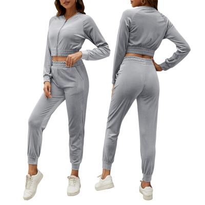 China 2021 Fashion Women's QUICK DRY Velvet 2Pcs Set Autumn Winter Long Sweatsuit Set Slim Solid Casual Jacket Pants Short Sweatsuit for sale