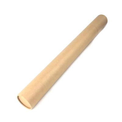 China China Factory Biodegradable Cardboard Packaging Paper Packaging Biodegradable Long Paper Tubes With Lids for sale