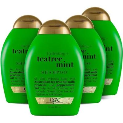 China Color-Protecting 2 In 1 Mint Anti-Dandruff Tea Tree Shampoo for sale