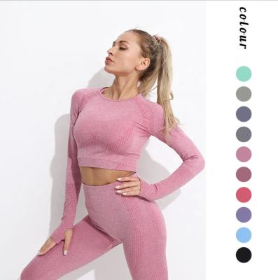 China Autumn And Winter Yoga Shirts Women Fitness Breathable Quick Dry Sports Long Sleeve Seamless Yoga Tops for sale