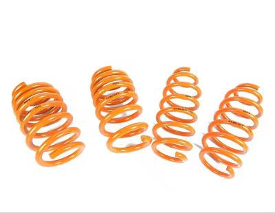 China Two Wheel Sport Tesla Model 3 Lowering Springs Flexible for sale