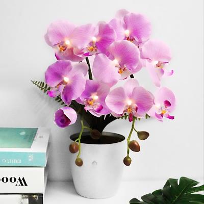 China Holiday Decoration Artificial Orchids with Decorative Lights with Motion Sensor, Faux Flower Plants Rechargeable Battery for Wedding Boho Decor for sale