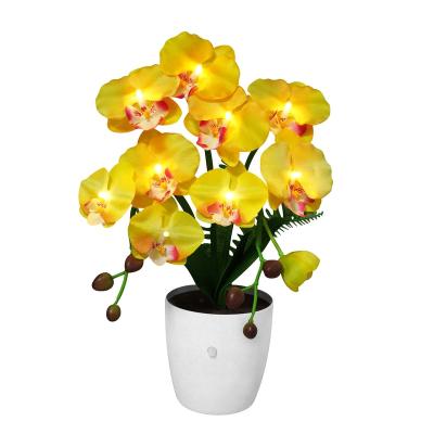 China Commercial Use Artificial Orchids with Decorative Lights with Motion Sensor, Yellow Flowers Plants Rechargeable Battery for Wedding Boho Decor for sale