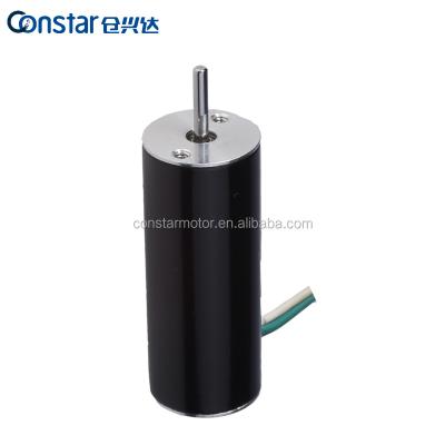 China IP30 12V 15000rpm Chinese High End Small DC Brushless Motor for sale