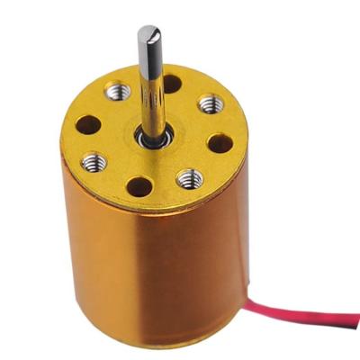 China IP30 3.6V 12mm high precision china brushless motor, china BLDC motor for sale