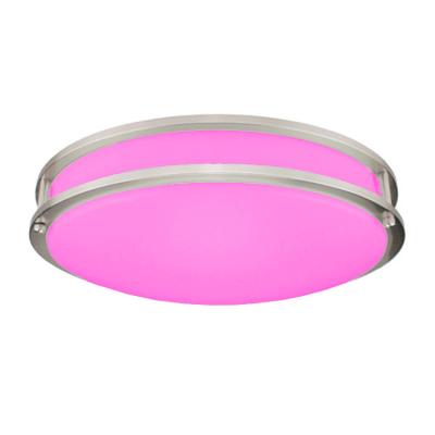 China Modern North American acrylic ceiling light ceiling light smart dimmable led ceiling light for sale