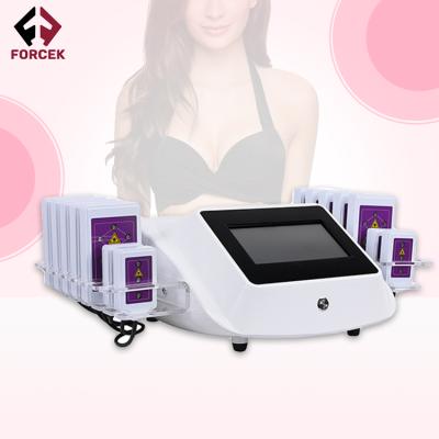 China Bestseller Cellulite Removal Machine 635-650NM Cellulite Removal 14 Slabs Fat Wrinkle Remover Lipo Laser Burning Laser Machine for sale